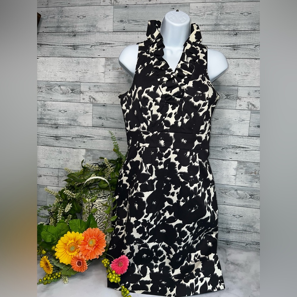 Ann Taylor Size 4 sleeveless ruffled collar dress. Fully lined.